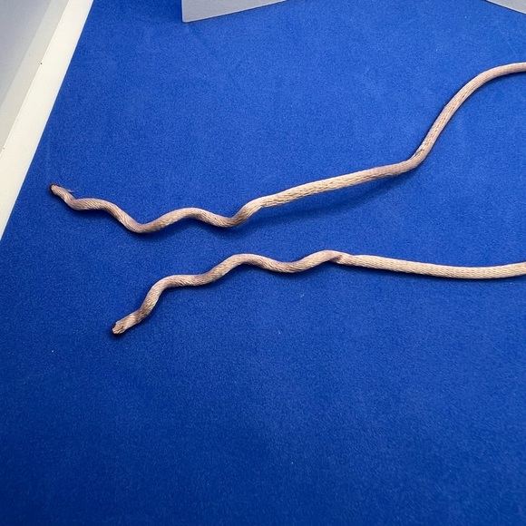 Authentic Cartier Rope Cord for Charity Bracelets - pink - Picture 3 of 8